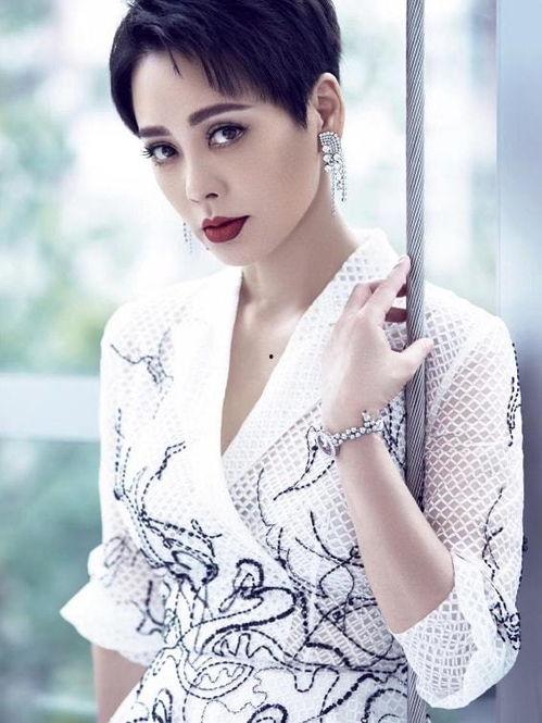 宁静爆料最新消息,娱乐圈最新劲爆消息大揭秘!